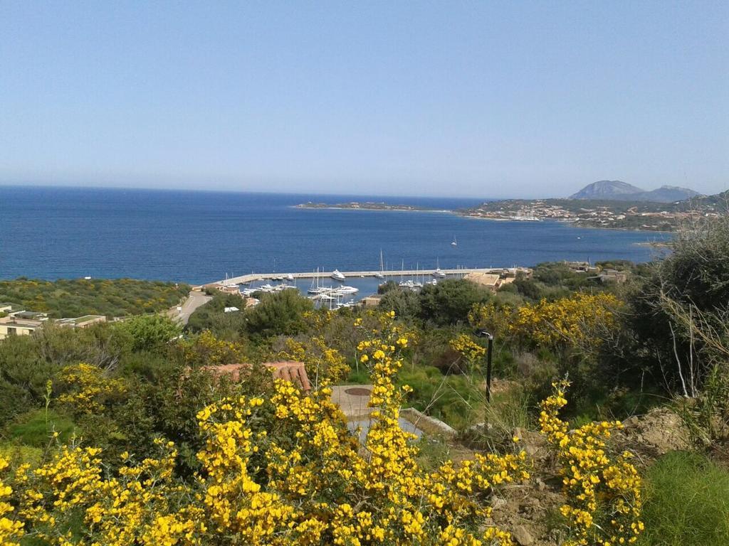 Domus Corallia-Luxury Rooms Porto Rotondo Εξωτερικό φωτογραφία